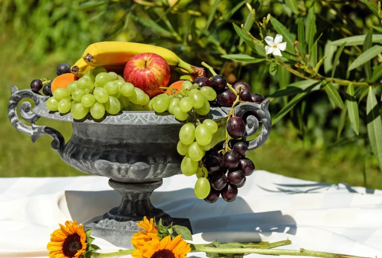 7 Fruit Trees You Should Prune in Summer