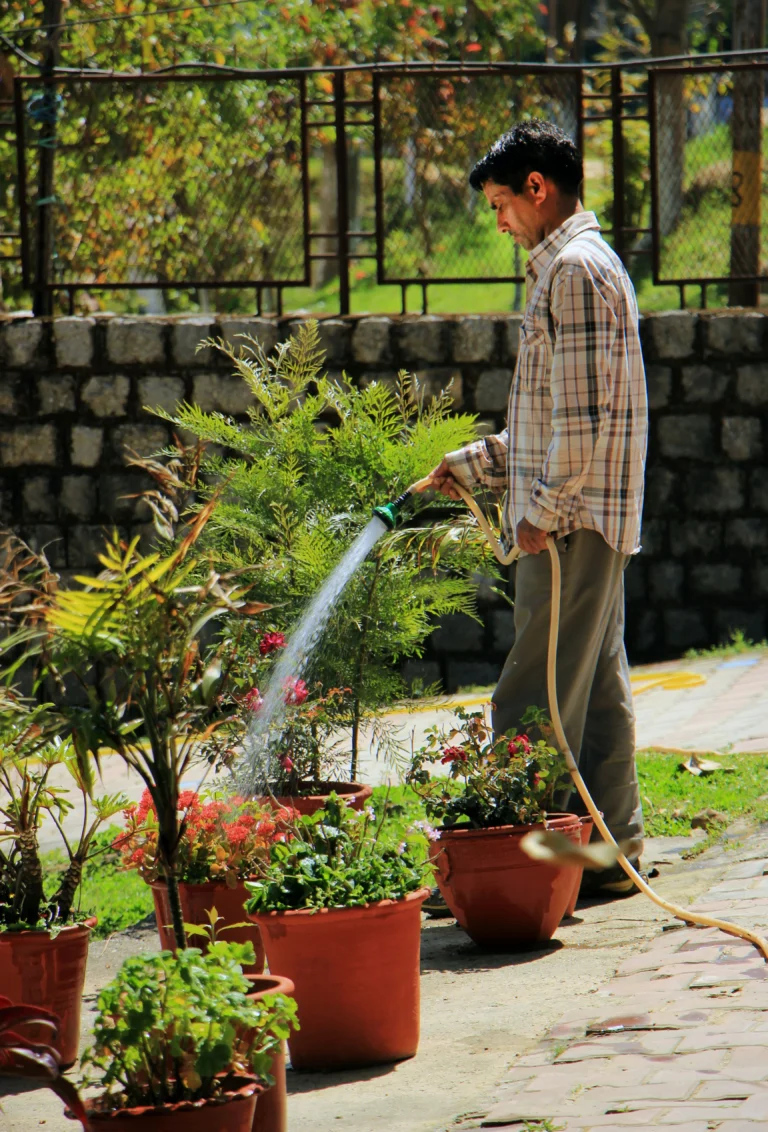 8 Plants You Should Never Water With a Hose